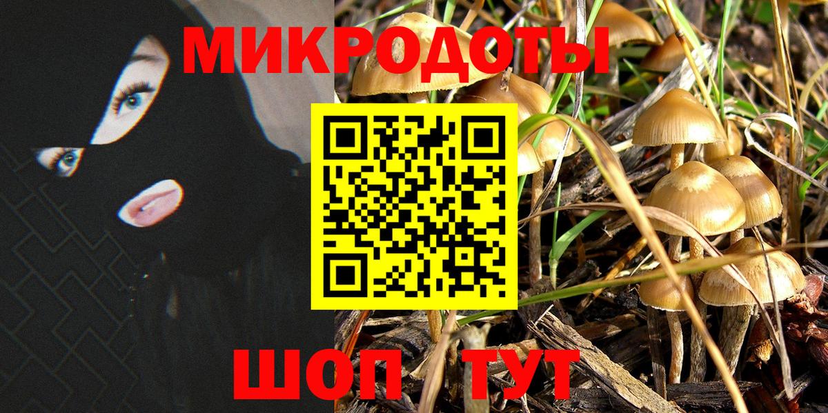 Галлюциногенные грибы Psilocybine cubensis Подольск